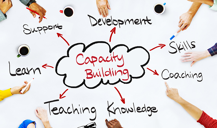 capacity-building